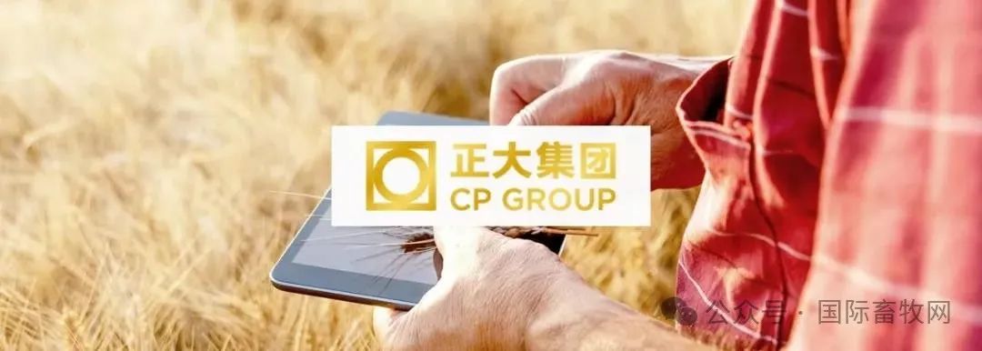 谁是2023全球十大肉鸡公司?