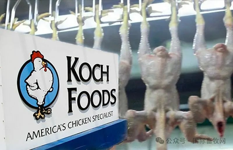 谁是2023全球十大肉鸡公司?
