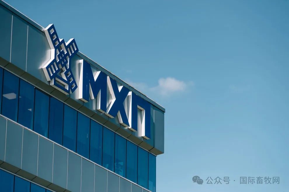 谁是2023全球十大肉鸡公司?