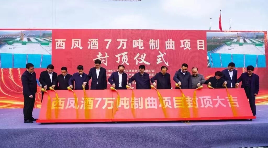 西凤决胜后百亿 哪些好牌可以打？