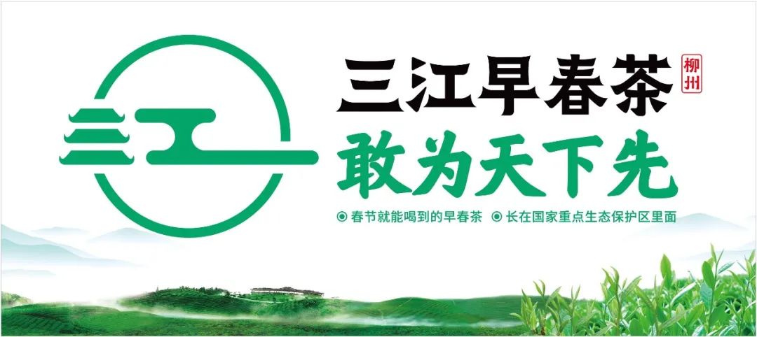 ​郝北海：1000多个产茶县，茶叶如何打造品牌？