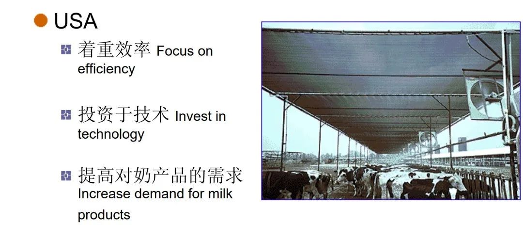 全球奶牛业比较:中国、美国、欧盟与新西兰的较量