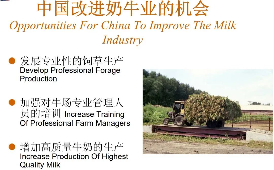 全球奶牛业比较:中国、美国、欧盟与新西兰的较量