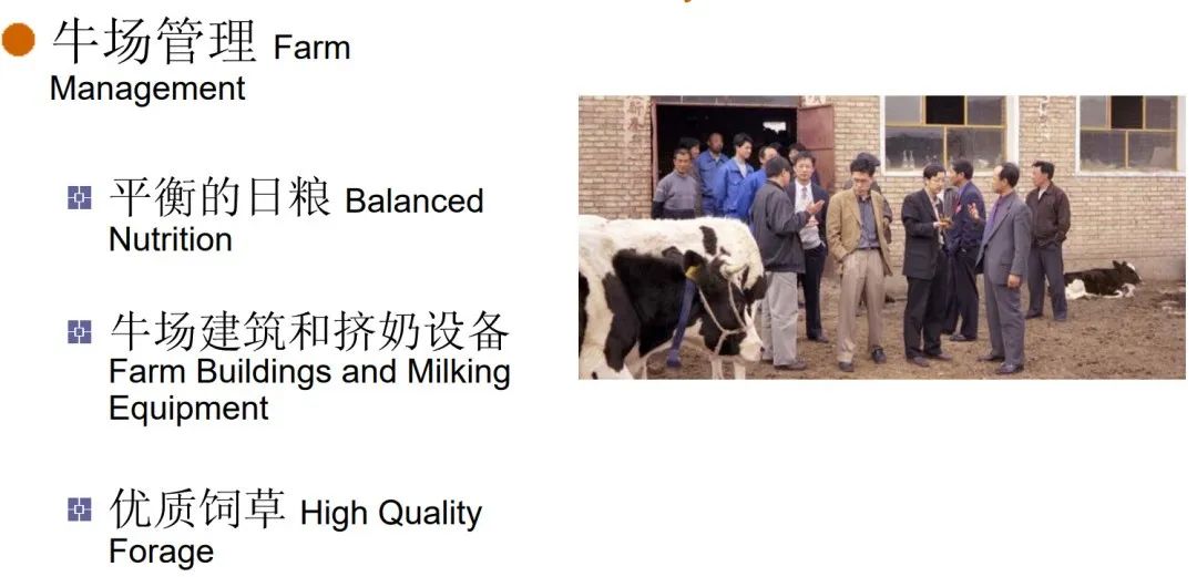 全球奶牛业比较:中国、美国、欧盟与新西兰的较量