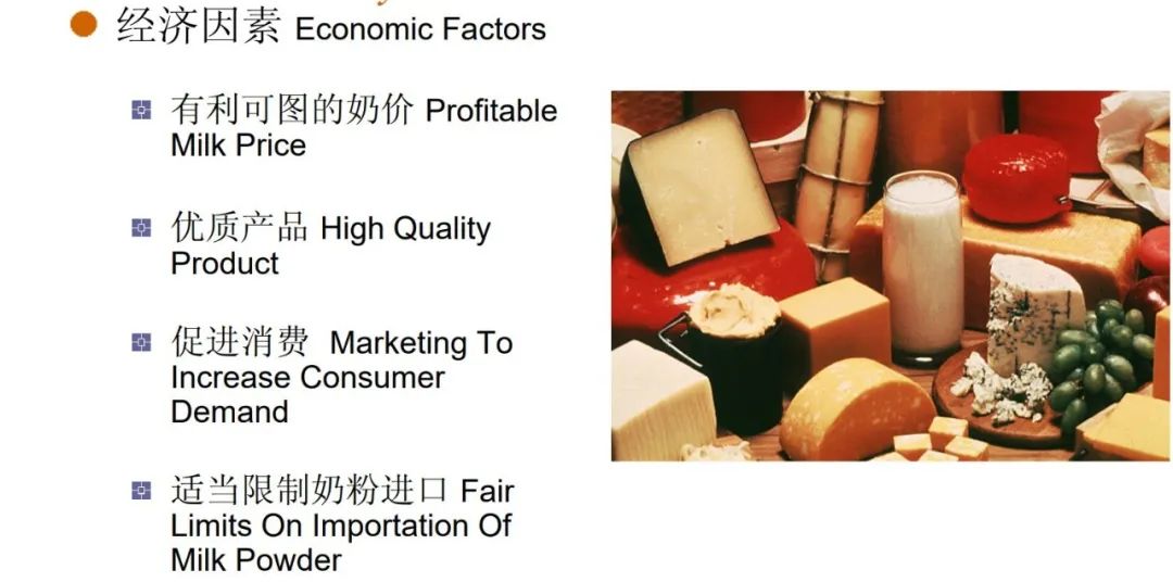全球奶牛业比较:中国、美国、欧盟与新西兰的较量
