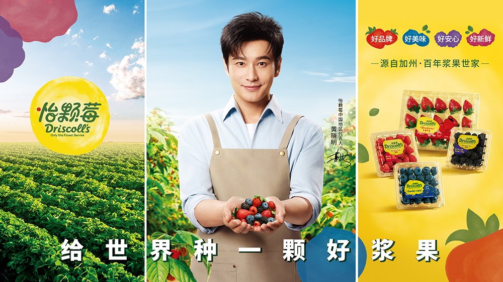 怡颗莓：入华十年，火箭式增长