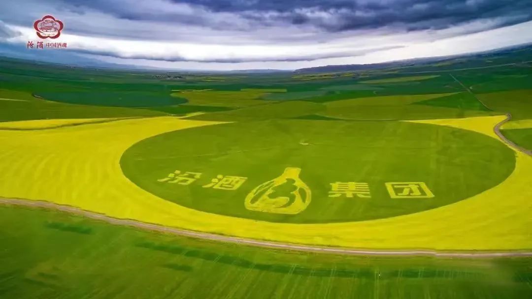 山西汾酒请回答:2024如何继续打开向上空间?