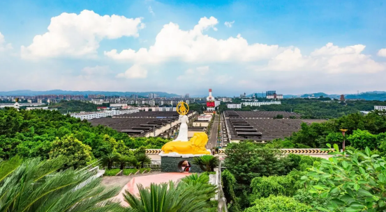 如何通过地域特色文化,为白酒产区竞争助力?