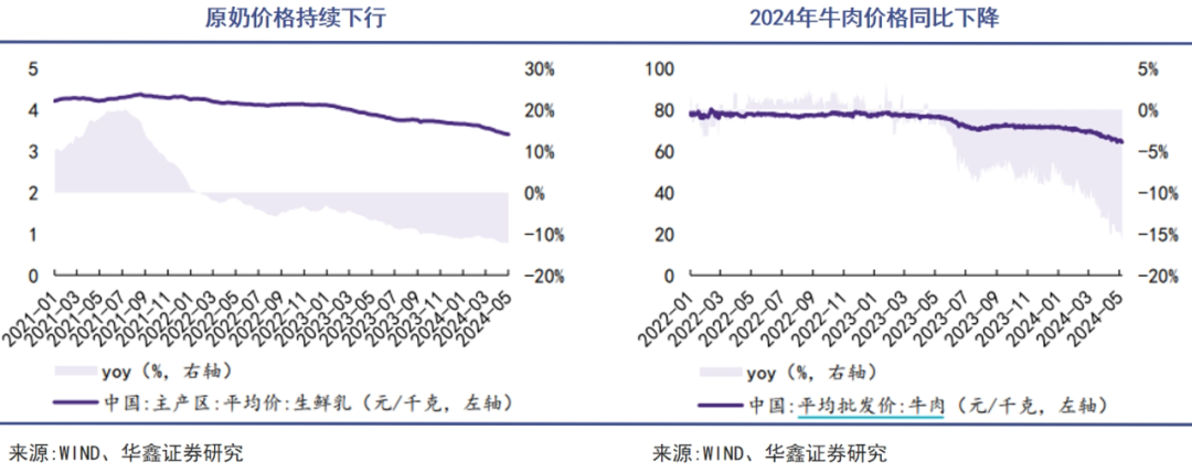 中国乳业迎来一条俄国鲶鱼