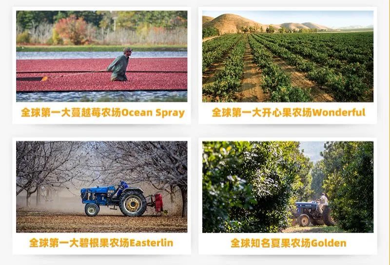 三只松鼠出海“三步走”，章燎原放话要卷到全球去！