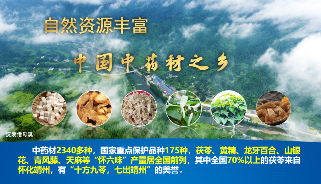 怀化国际陆港,给出食业出海新答案