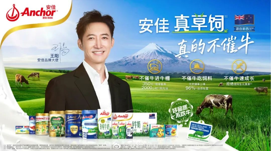 蒙牛及旗下悠瑞、光明优倍、君乐宝悦鲜活、花花牛、恒天然安佳，都咋选的“代言人”？