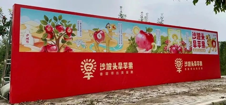 沙坡头旱苹果区域公用品牌发布，开创旱苹果新品类