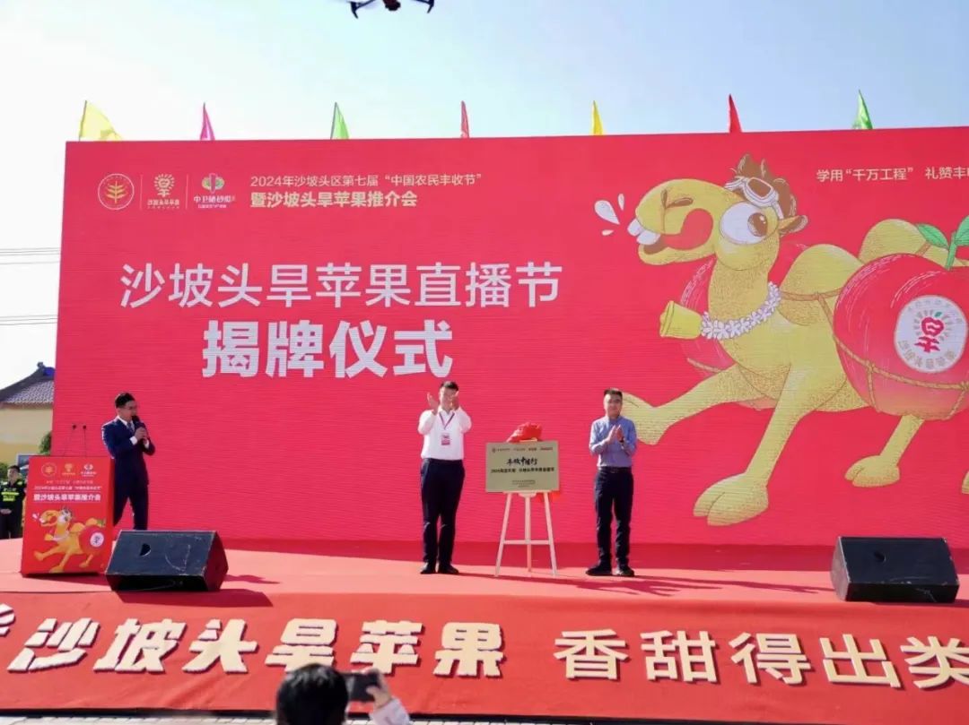 沙坡头旱苹果区域公用品牌发布,开创旱苹果新品类