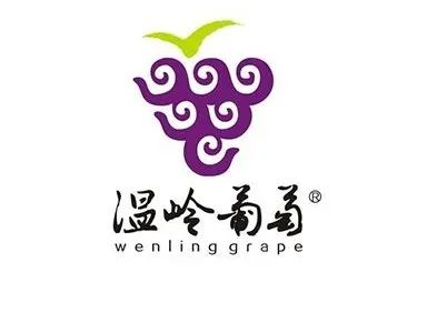 胡晓云：中国果业品牌创造的价值发现与价值重塑（二）