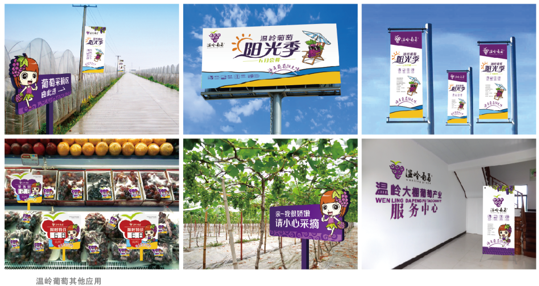 胡晓云：中国果业品牌创造的价值发现与价值重塑（二）