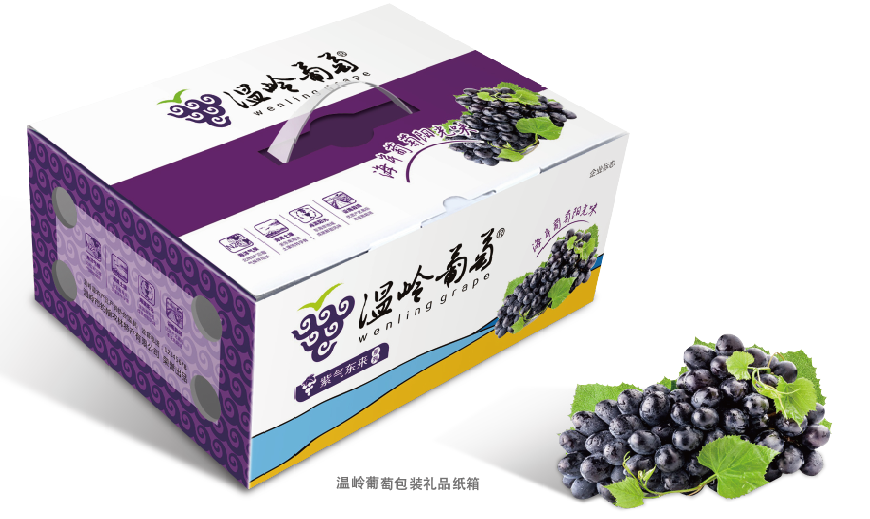 胡晓云：中国果业品牌创造的价值发现与价值重塑（二）