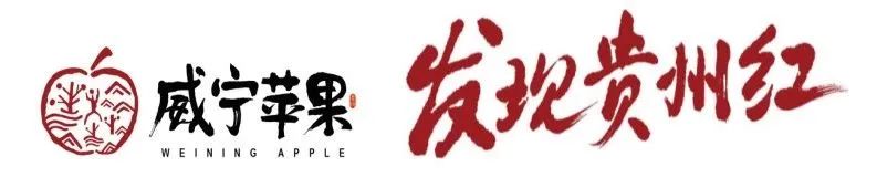 胡晓云：中国果业品牌创造的价值发现与价值重塑（二）