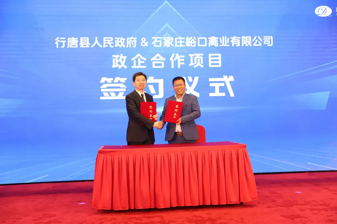世界单体规模最大—中国·行唐百万蛋种鸡产业园正式落成,每年可提供8000万只健母雏!