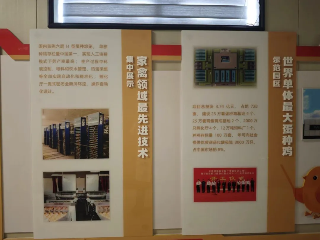 世界单体规模最大—中国·行唐百万蛋种鸡产业园正式落成,每年可提供8000万只健母雏!
