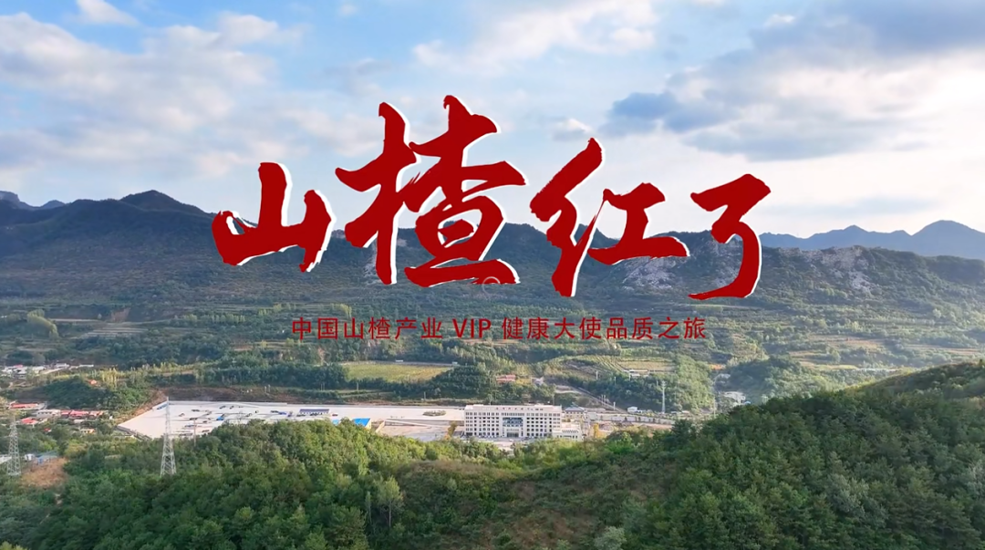 探秘怡达,看见“中国好山楂”的品质密码!
