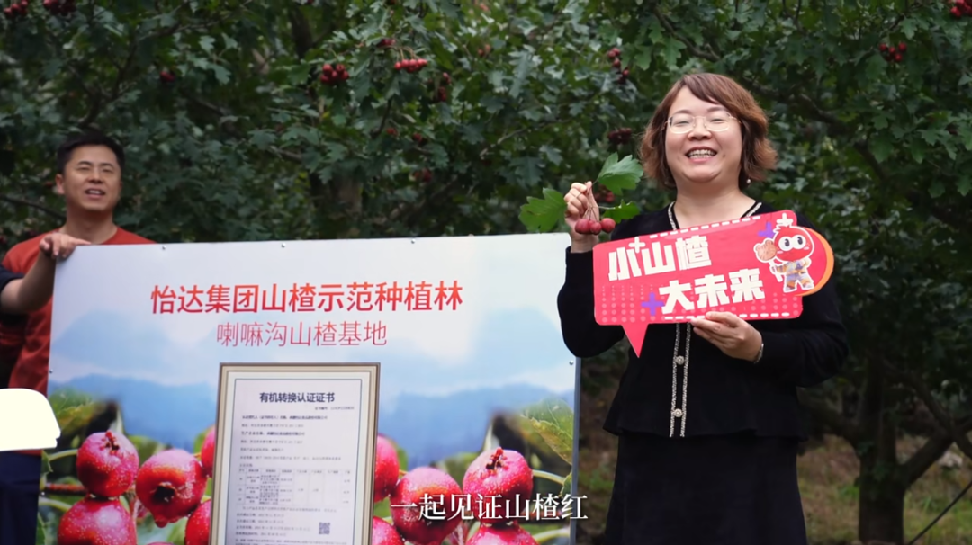 探秘怡达，看见“中国好山楂”的品质密码！