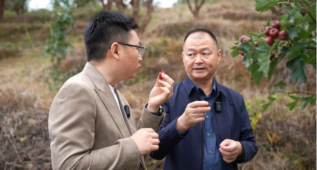 探秘怡达，看见“中国好山楂”的品质密码！