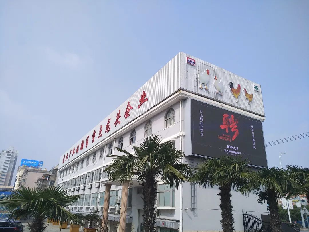 从平凡到卓越,顾云飞与京海禽业的新质之旅