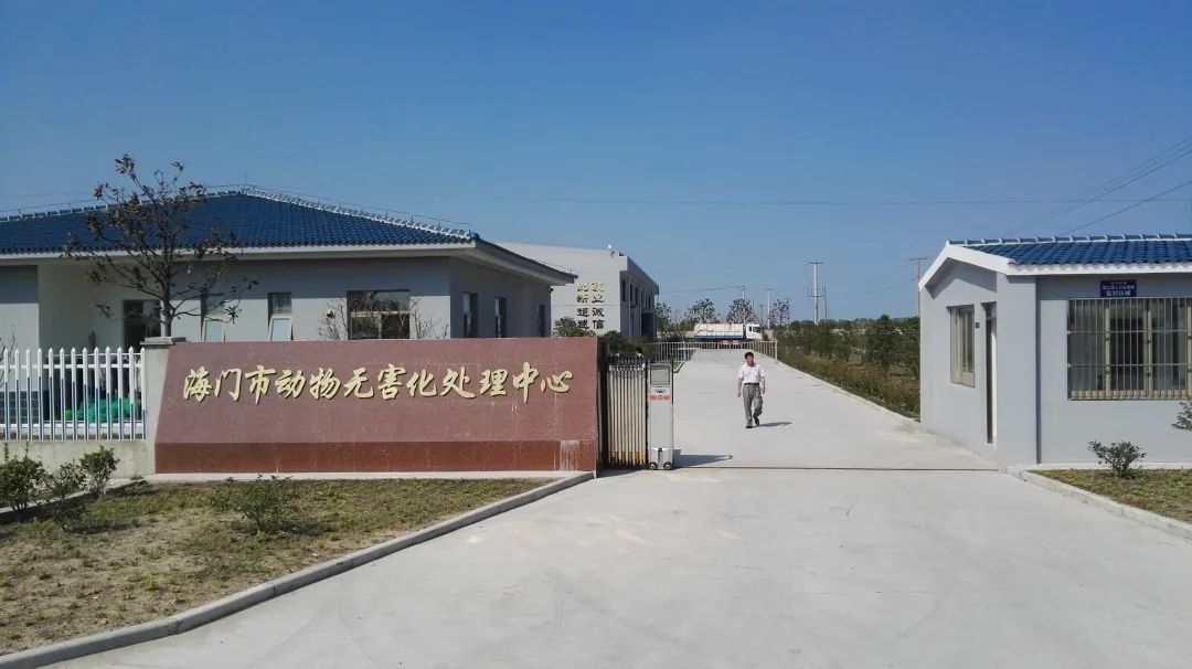 从平凡到卓越,顾云飞与京海禽业的新质之旅