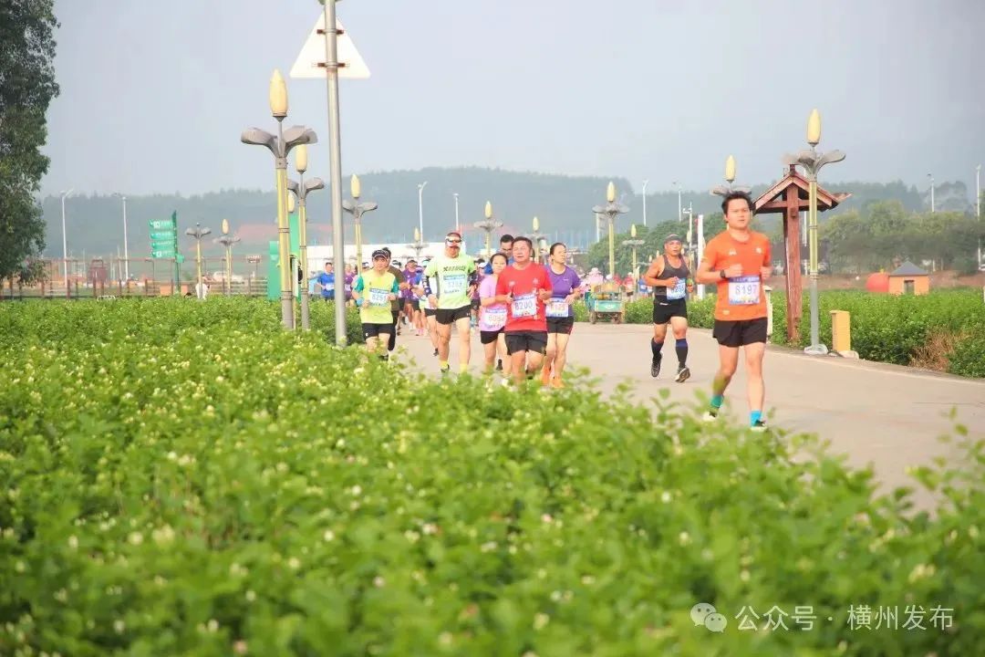 第六届世界茉莉花大会召开,乡村振兴“横州样板”走向世界!