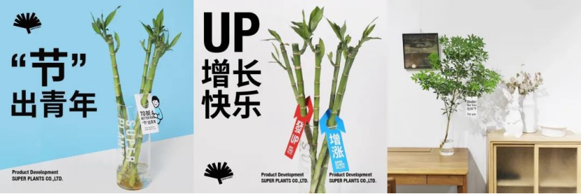 植物精神解药、汤圆销量破亿……如何用「情绪营销」卖爆一款产品?