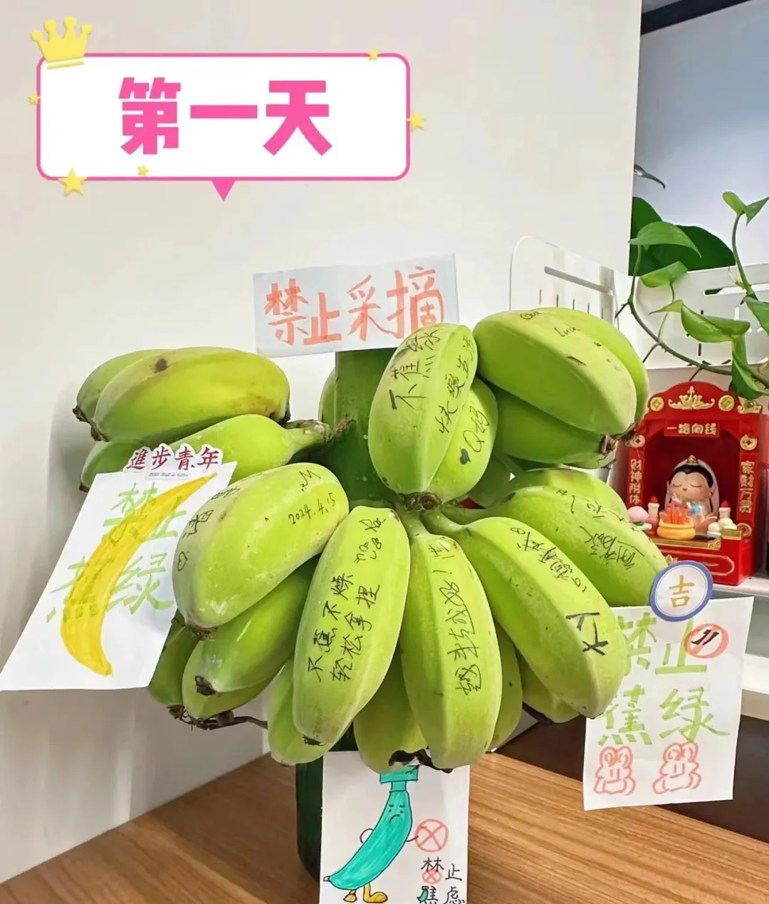 植物精神解药、汤圆销量破亿……如何用「情绪营销」卖爆一款产品?
