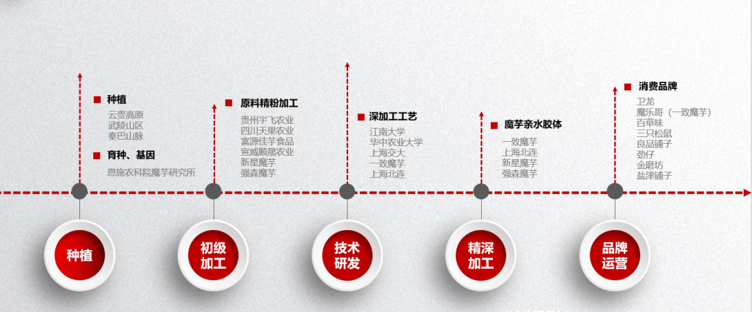 00后捧红“人类猫条”，半年爆卖14亿，成“高铁零食之王”