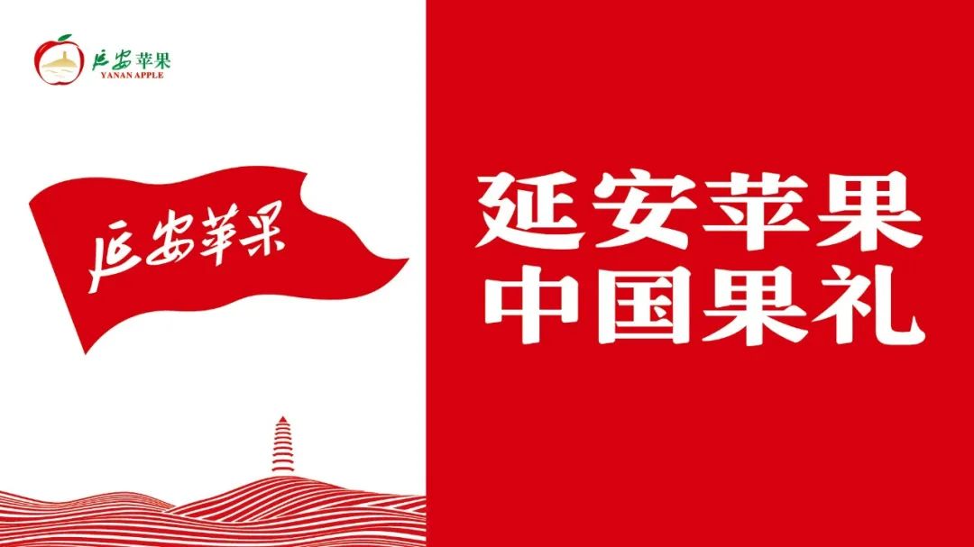 贾枭：果业品牌化，赢在起点！