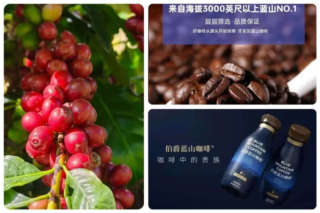 统一、北冰洋扎堆进入的即饮咖啡赛道，杀出一条大鳄！