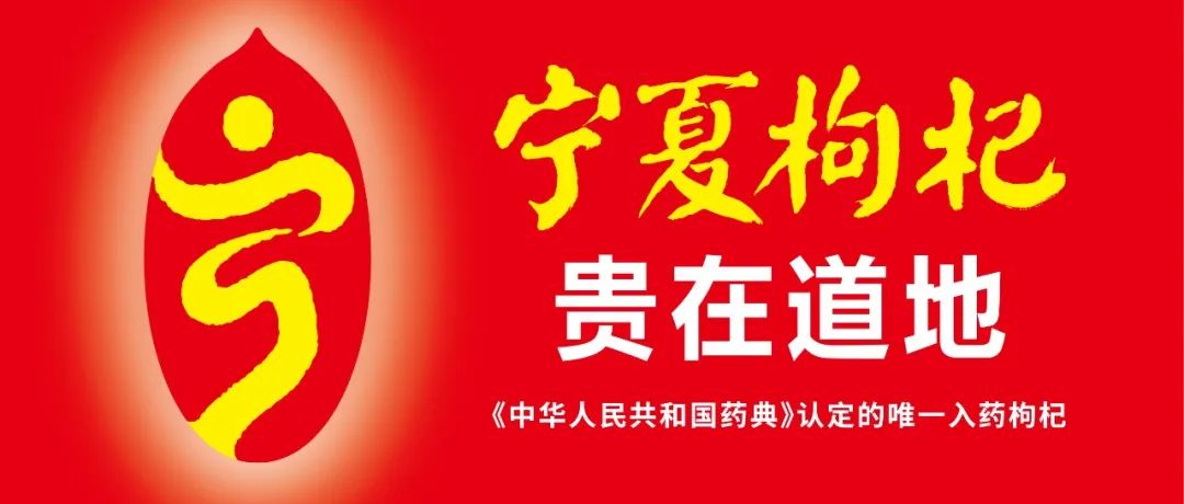 娄向鹏：地方特产如何从“网红”到“长红”？
