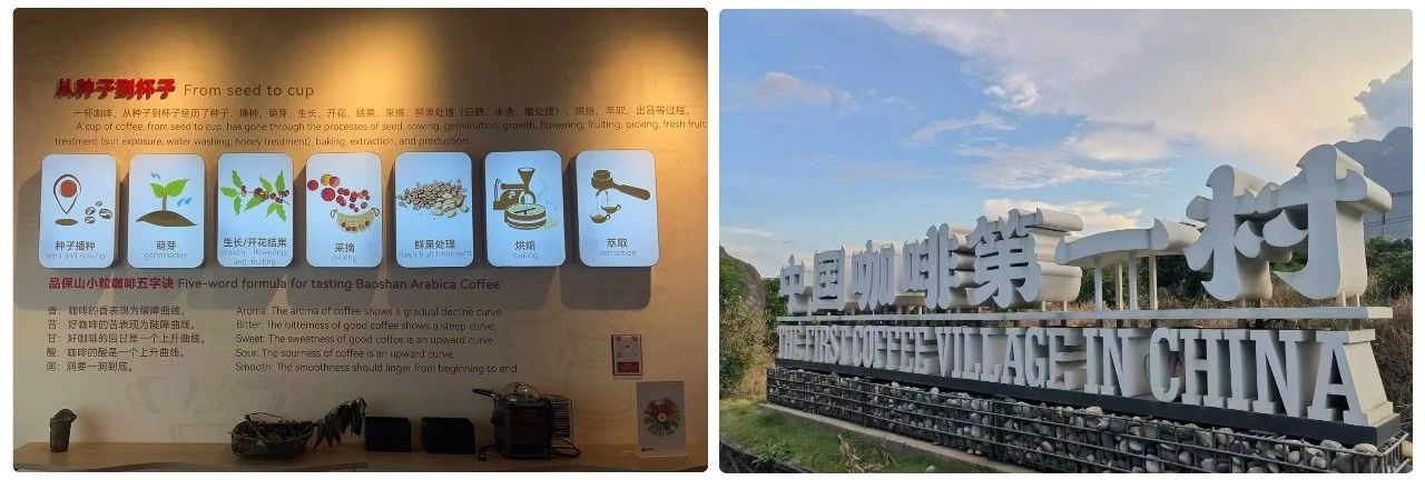 春糖热门咖啡品牌启示录,伯爵咖啡的“四重壁垒”战争