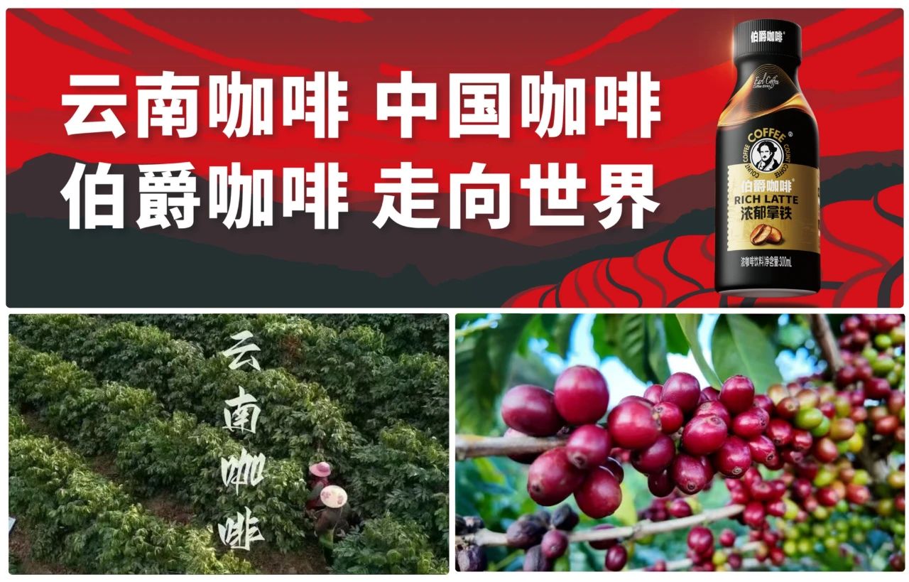 春糖热门咖啡品牌启示录,伯爵咖啡的“四重壁垒”战争