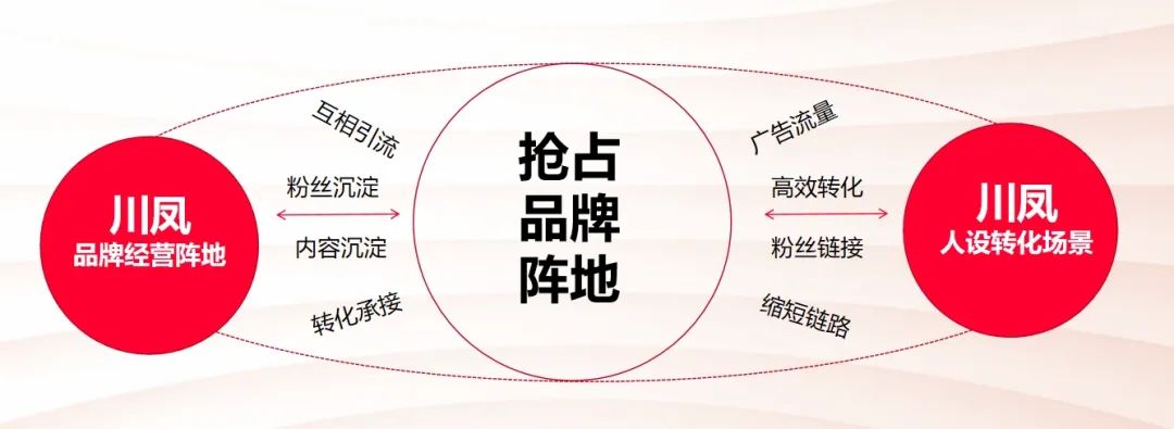 曹乃军：川凤酒，打响2025电商新生态战役
