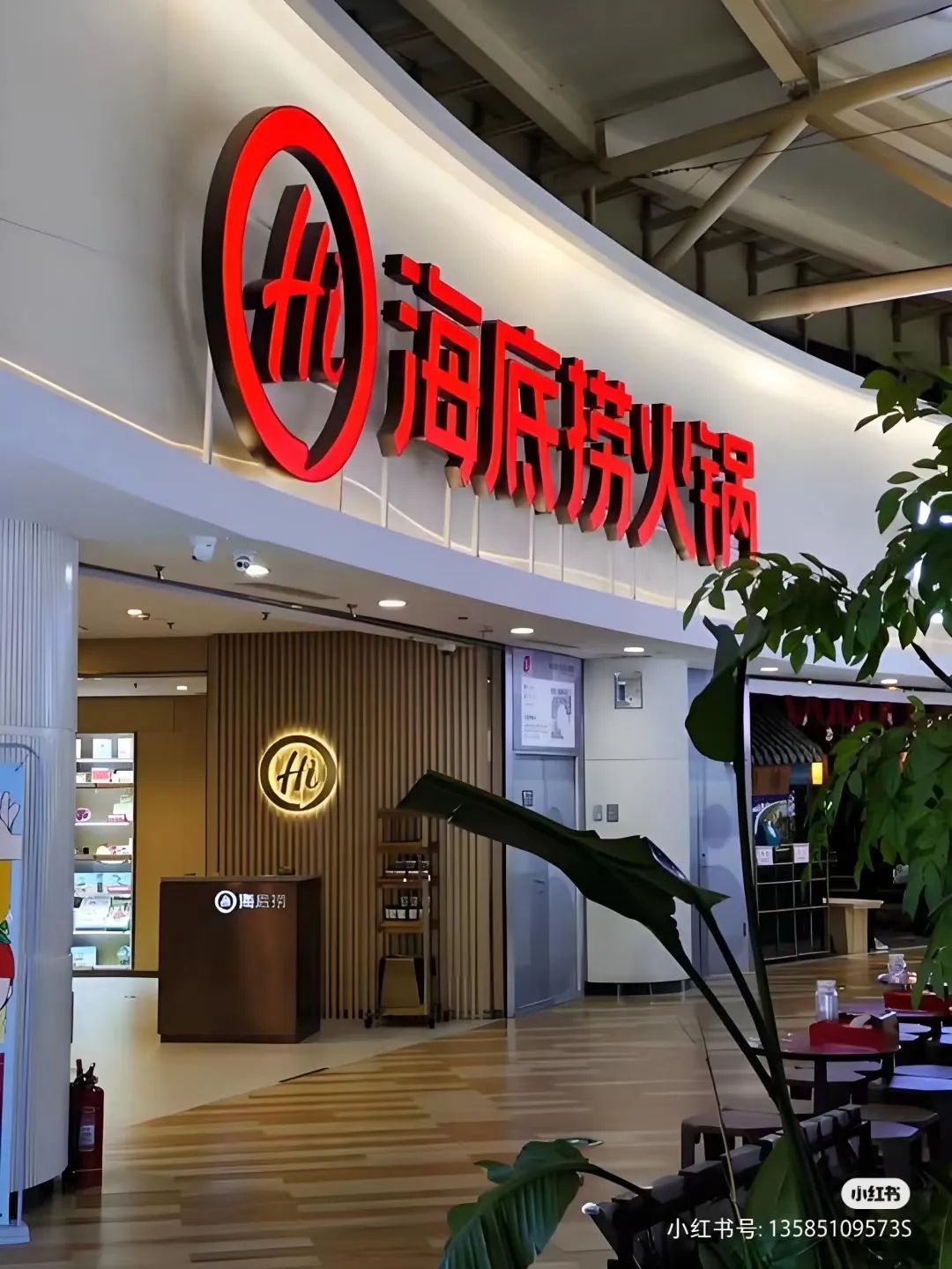 上市餐企年报|9.9套餐救不了餐饮,价格战远比想象中惨烈!