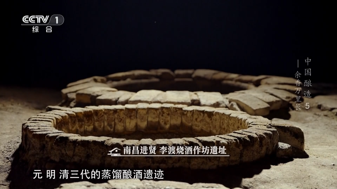 徐岩领衔解码“一口四香”奥秘，构建李渡“品质护城河”
