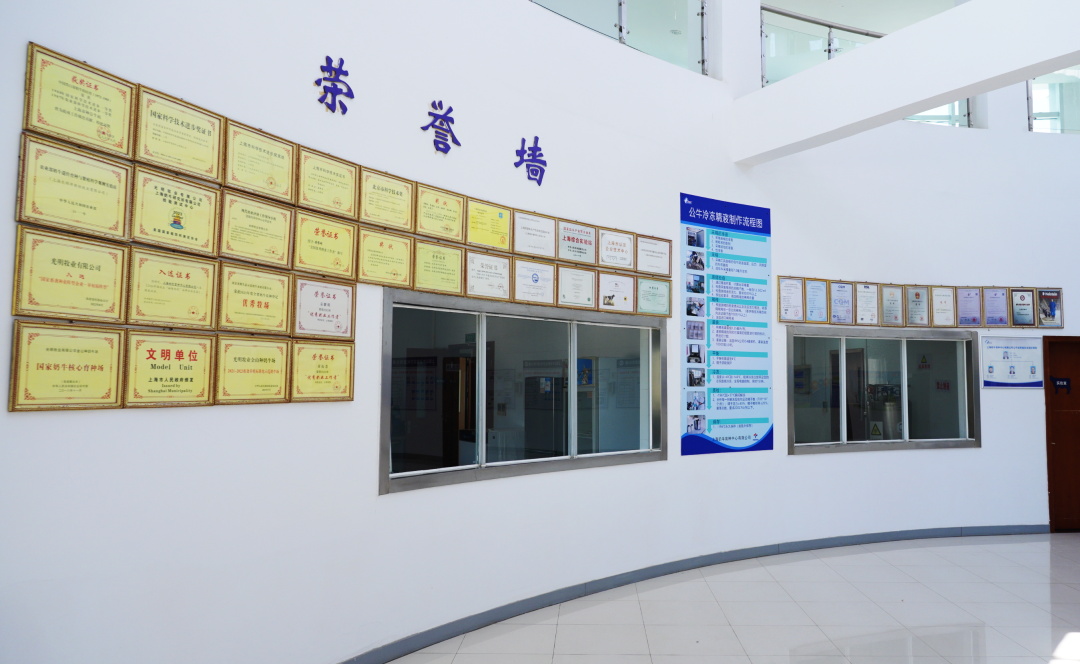 光明乳业再创新纪录!种公牛跻身国际百强榜,实现中国奶牛育种历史性突破!