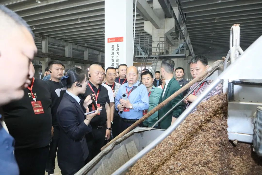锚定北方,口子窖吹响大兼香集结号