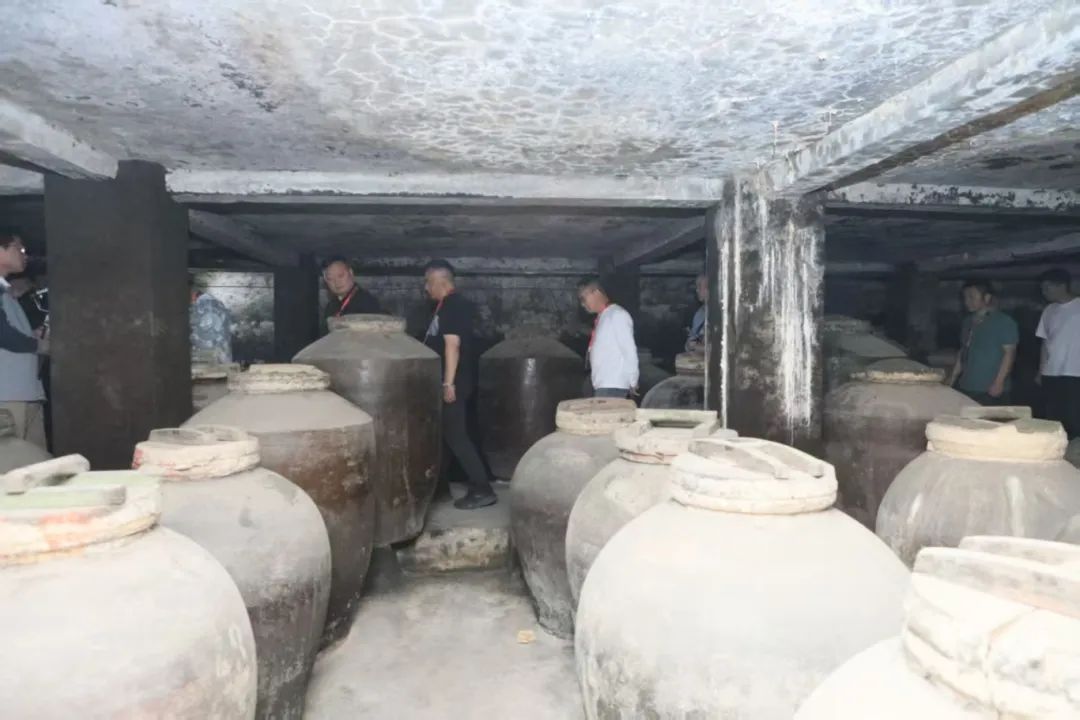 锚定北方,口子窖吹响大兼香集结号