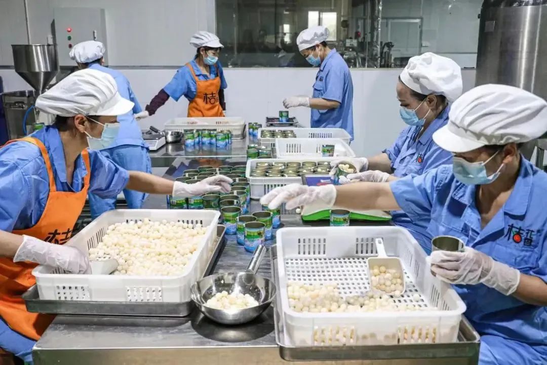 从“卖种苗”到“定标准”!南丰甲鱼区域公用品牌即将发布