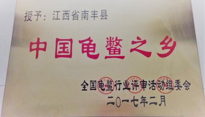 从“卖种苗”到“定标准”!南丰甲鱼区域公用品牌即将发布