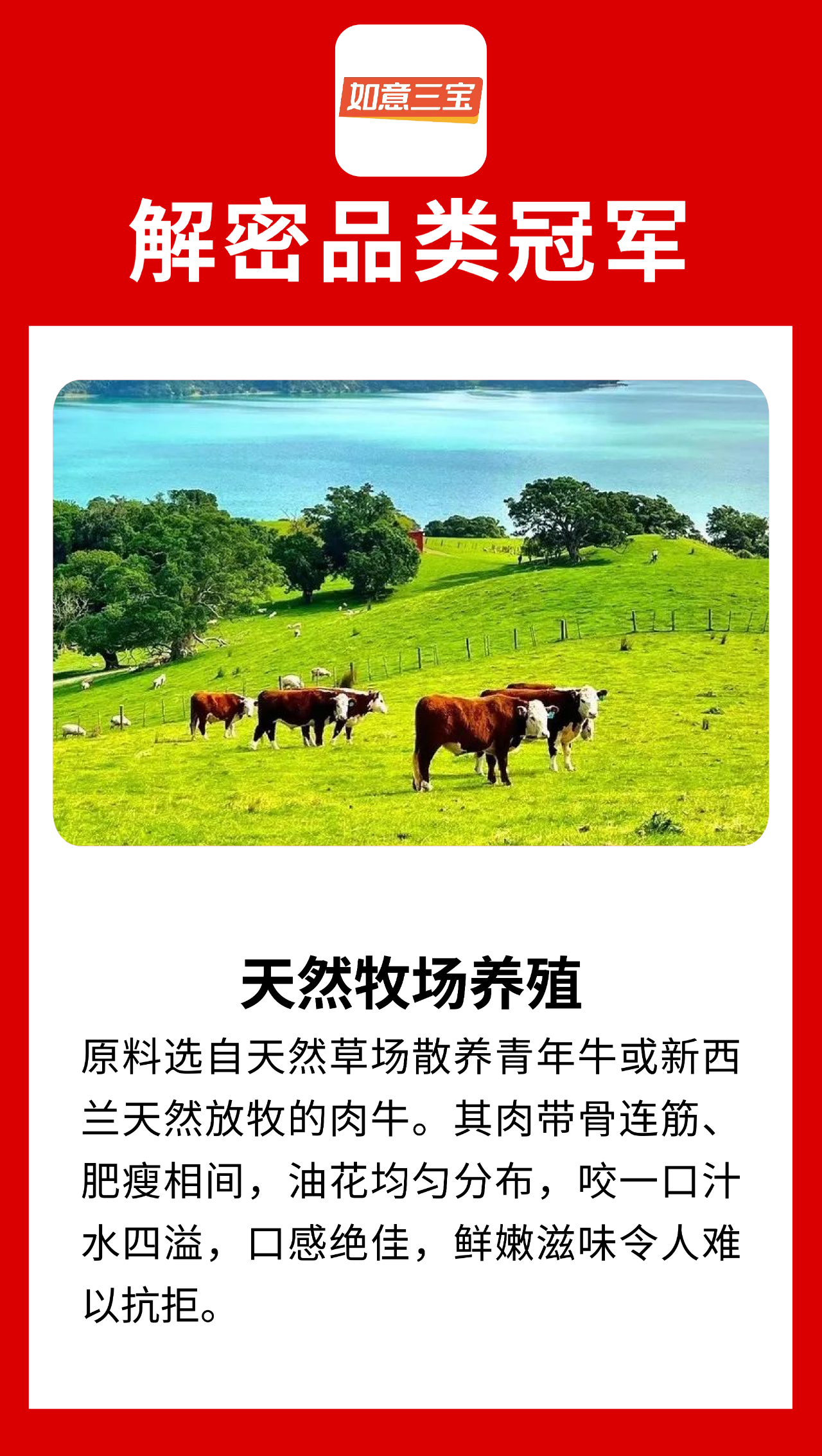 什么才是“品类冠军相”？来看看这十家食材品牌！（第四波）