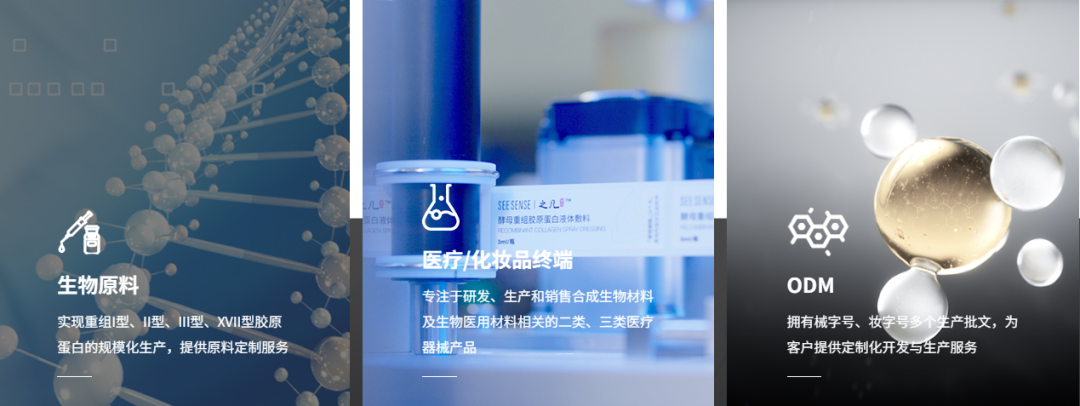 重组胶原蛋白为何是下一个千亿市场？
