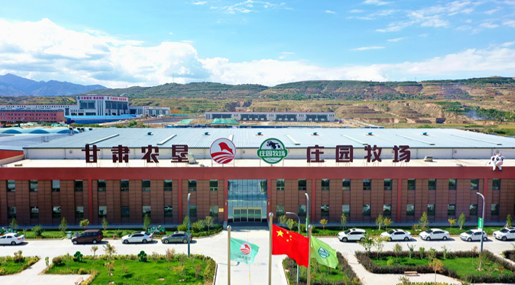 稿定设计-3.png