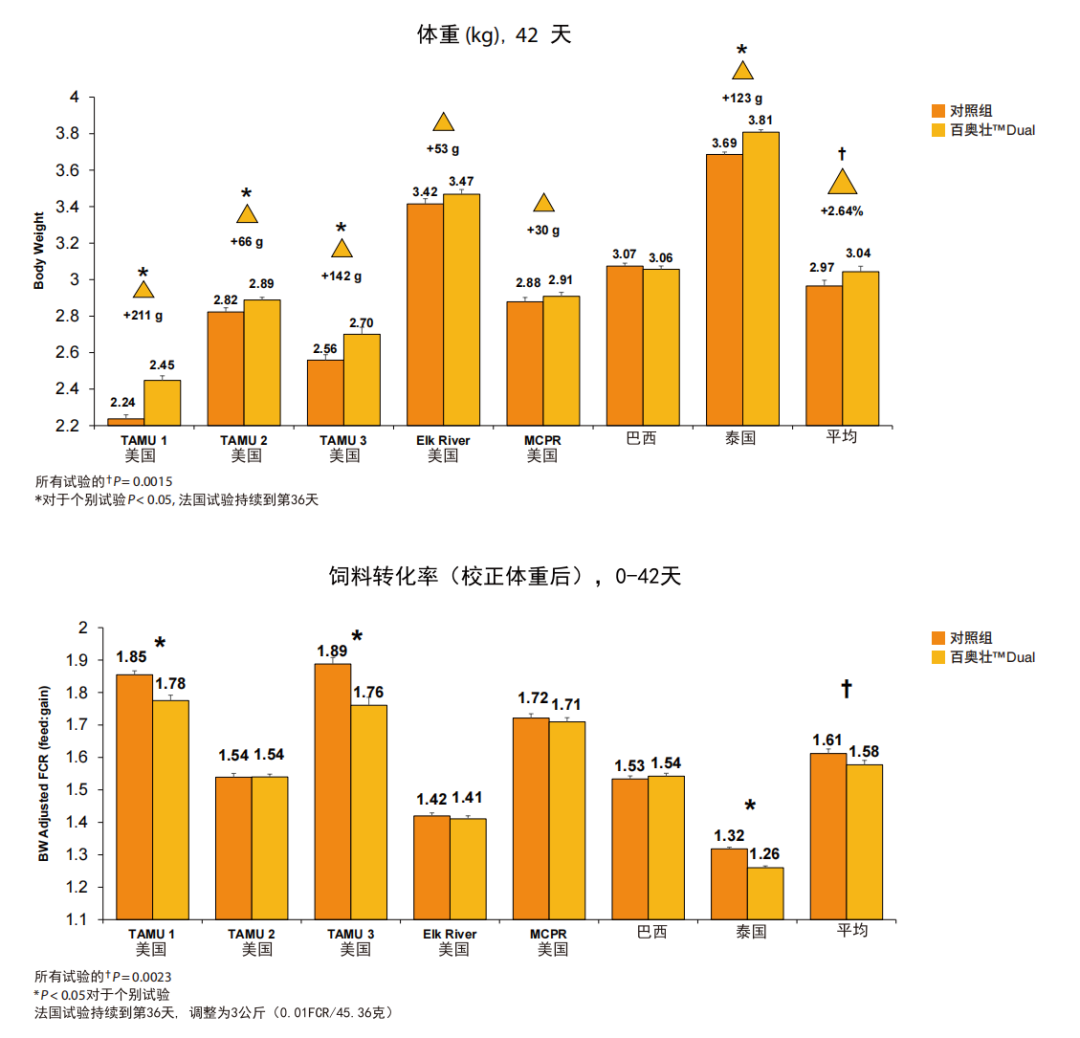 每只鸡平均利润压缩至0.1元？“后生元+植物精油”有望开创数亿元盈利空间